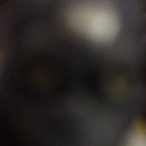 Meet your Posher, Ben